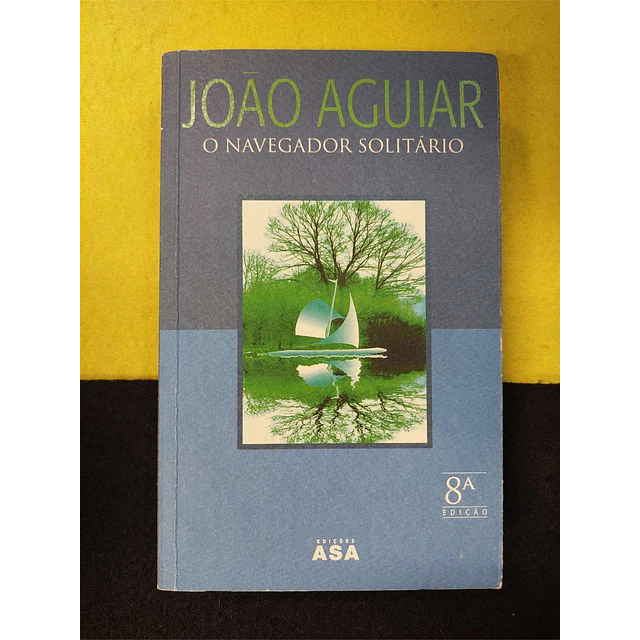 João Aguiar - O navegador solitário