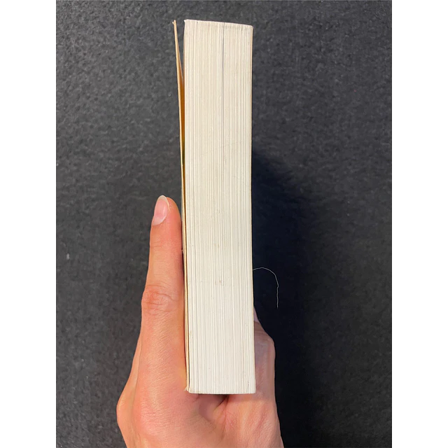 Phaidon - The Art Book