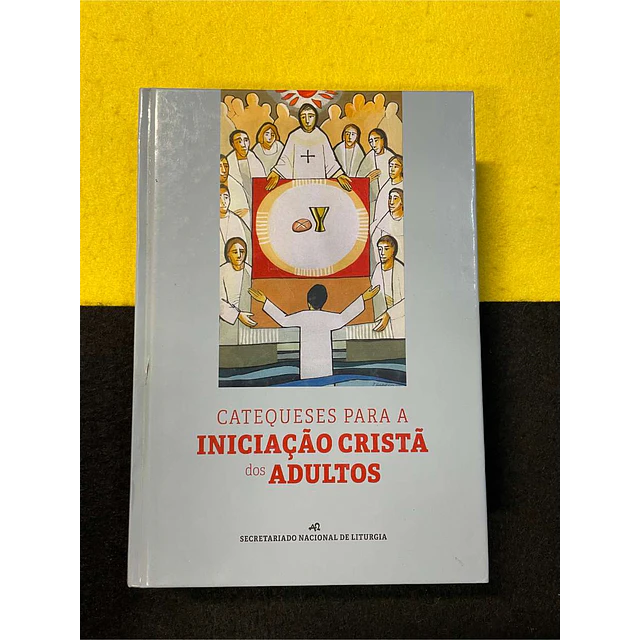 Catequeses para a iniciação cristã dos adultos