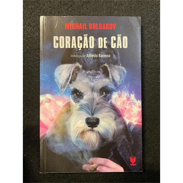 Mikhail Bulgakov - Coração de cão