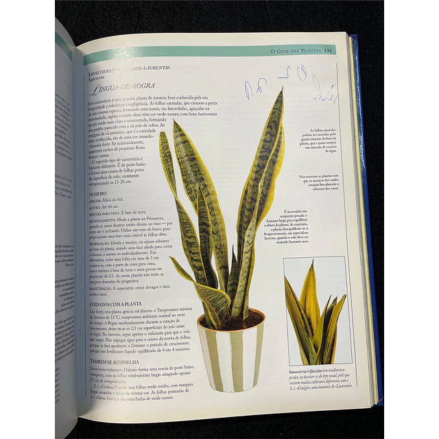 Jane Courtier - O Grande Livro das Plantas de Interior 