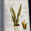 Jane Courtier - O Grande Livro das Plantas de Interior 