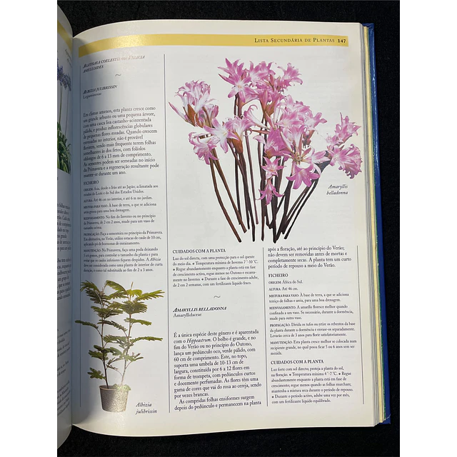 Jane Courtier - O Grande Livro das Plantas de Interior 