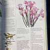 Jane Courtier - O Grande Livro das Plantas de Interior 