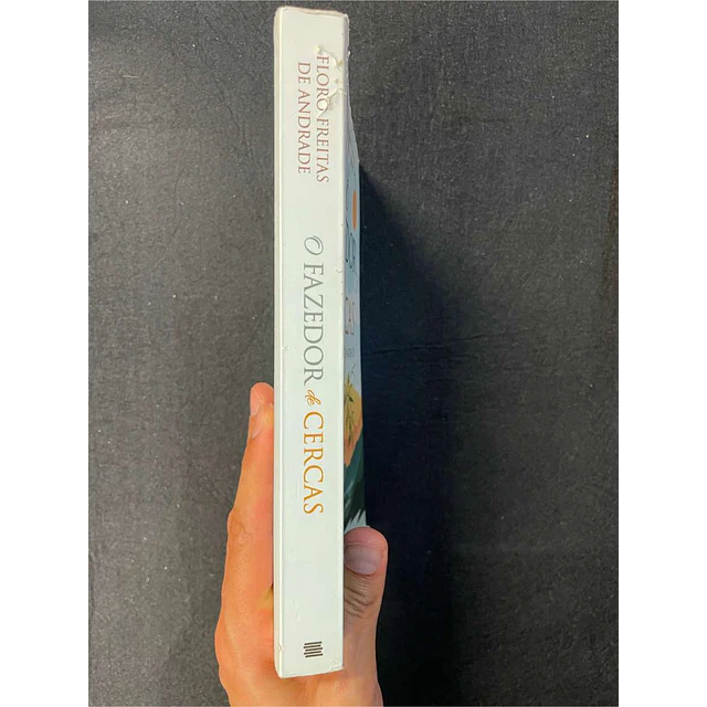 Floro Freitas de Andrade - O fazedor de cercas: Aquele que encontra o caminho, descobre-se a si mesmo