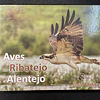 José Freitas - Aves no Ribatejo e Alentejo