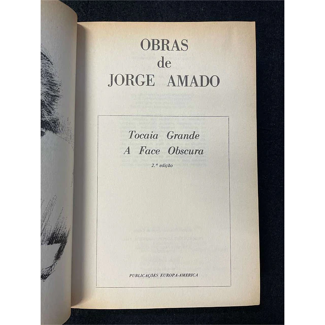 Jorge Amado - Tocaia grande: A face obscura
