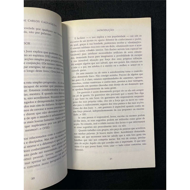 Victor Sanchez - Os ensinamentos de Carlos Castañeda