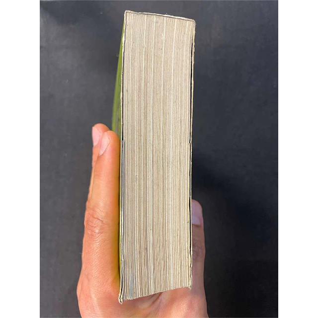Fulcanelli - As mansões filosofais. Volume 15
