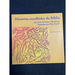 José Tolentino Mendonça - Histórias escolhidas da Bíblia 