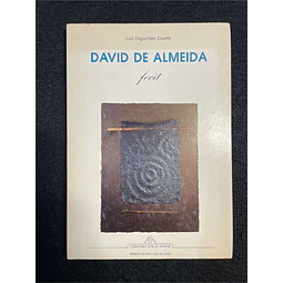 Luiz Fagundes Duarte - David de Almeida 