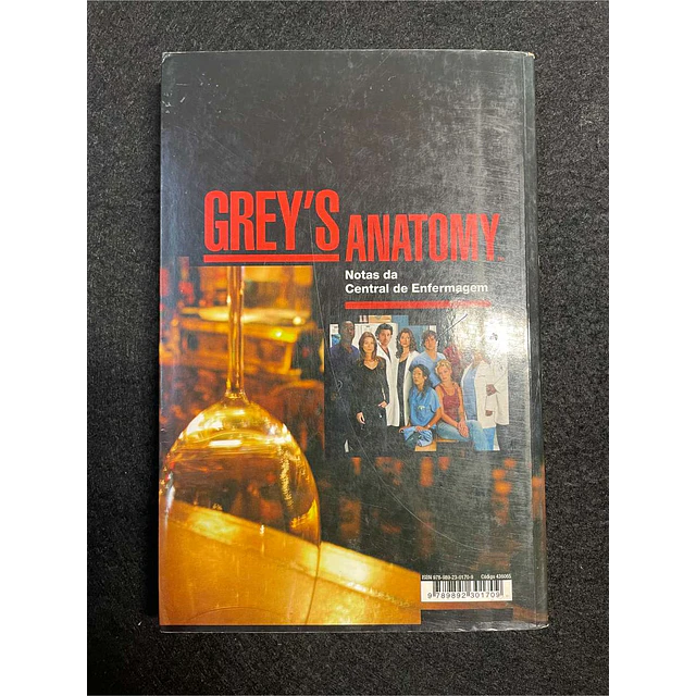 Chris Van Dusen - Grey's anatomy: Conversas escutadas no Emerald City Bar