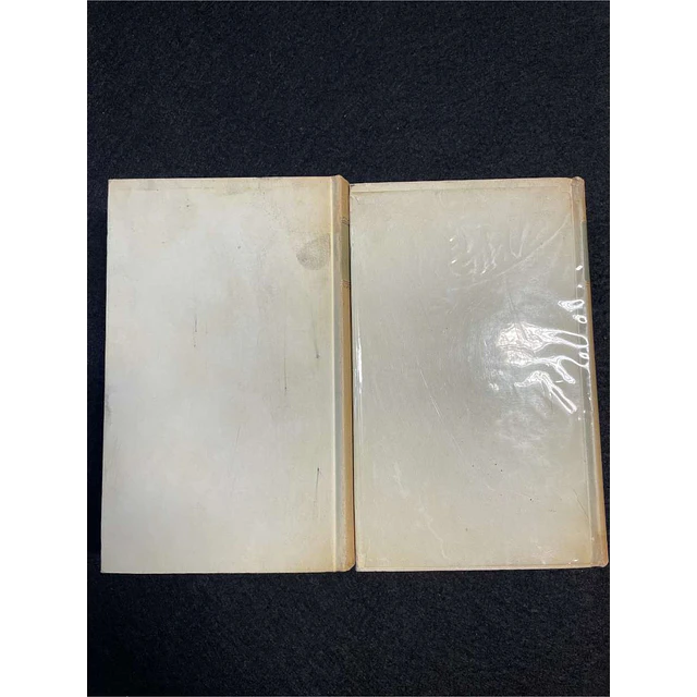 Leão Tolstoi - Guerra e paz. 2 volumes