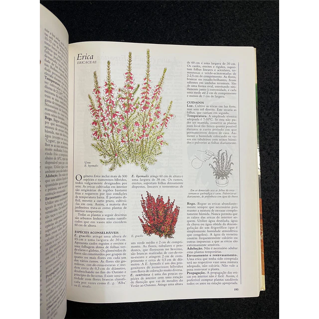 O Grande Livro das Plantas de Interior 