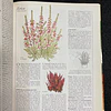 O Grande Livro das Plantas de Interior 