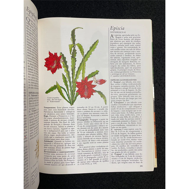 O Grande Livro das Plantas de Interior 