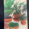 O Grande Livro das Plantas de Interior 