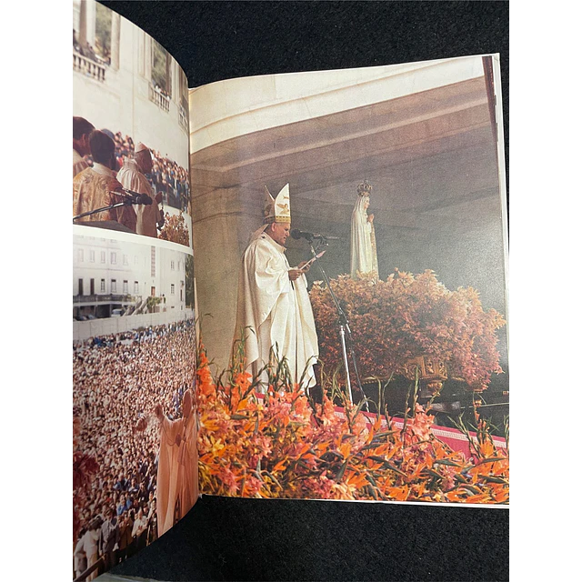 José Geraldes Freire - João Paulo II: Peregrino de Fátima