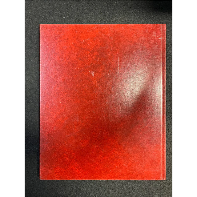 Claudio Parmiggiani - Zeichnungen 