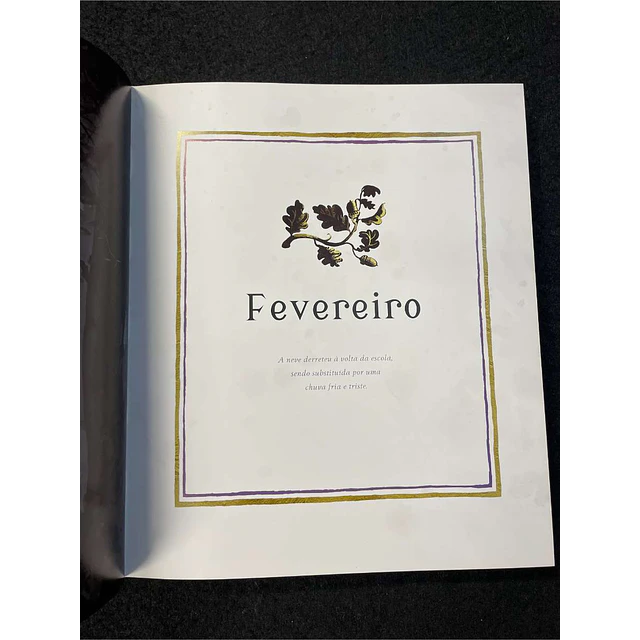 J. K. Rowling - Harry Potter: Um ano mágico