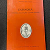 Francisco Vieira Jordão - Espinosa: História, salvação e comunidade