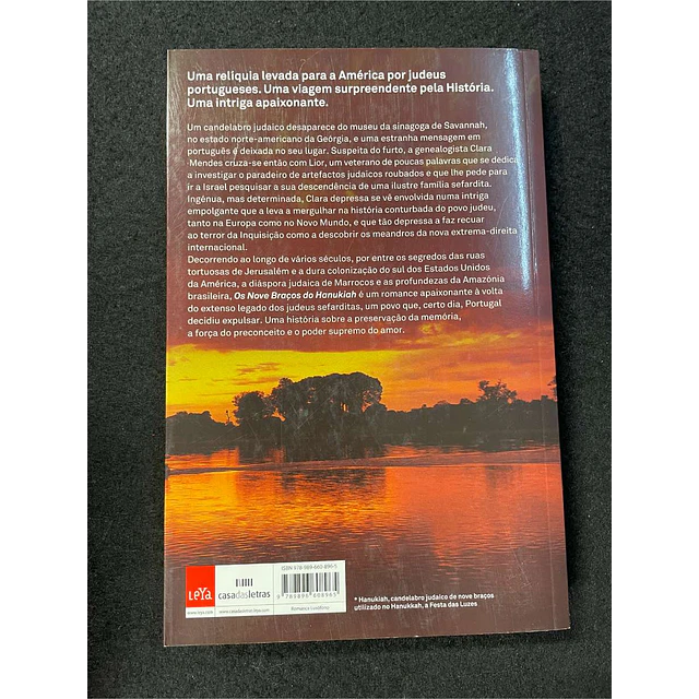 Rita Mayer Jardim - Os nove braços do Hanukiah  