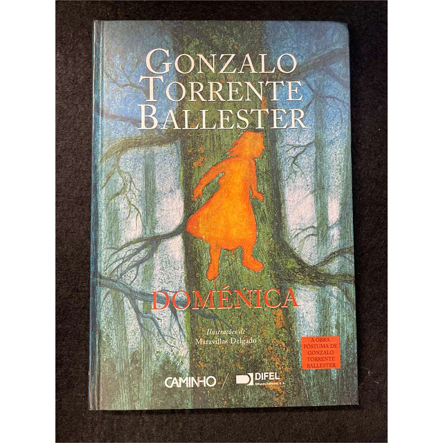 Gonzalo Torrente Ballester - Doménica 
