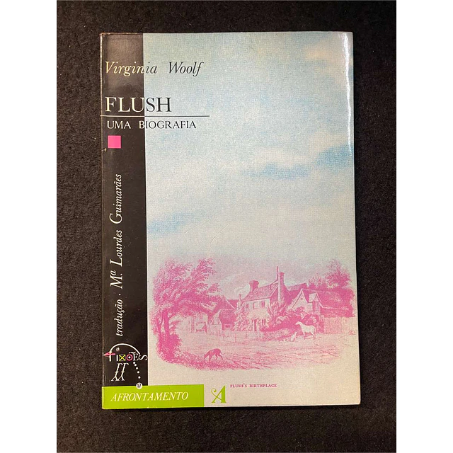 Virginia Woolf - Flush: Uma biografia. Volume 17