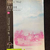 Virginia Woolf - Flush: Uma biografia. Volume 17