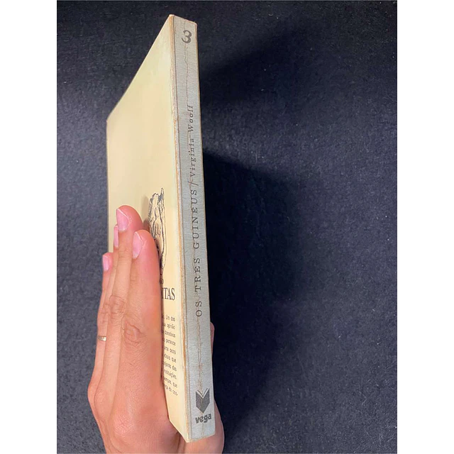 Virginia Woolf - Os três guinéus. Volume 3