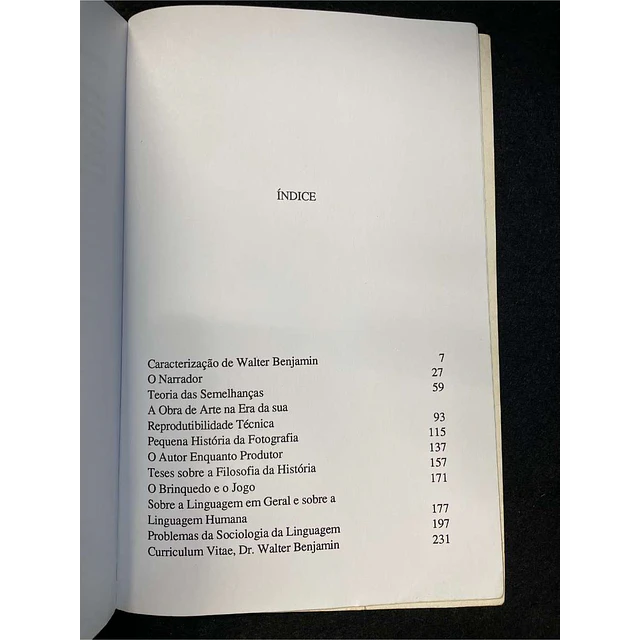 Walter Benjamin - Sobre arte, técnica, linguagem e política