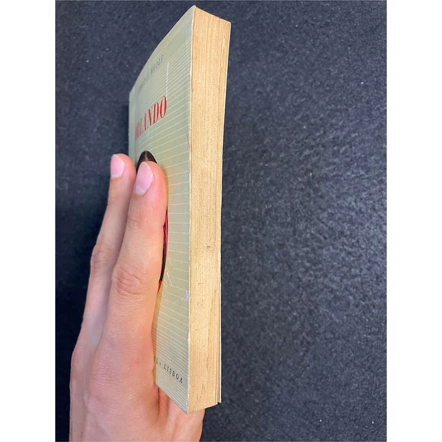 Virgínia Woolf - Orlando. Nº2. LIVRO DE BOLSO