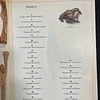 Enciclopédia Visual: Dinossauros, Borboletas, Plantas