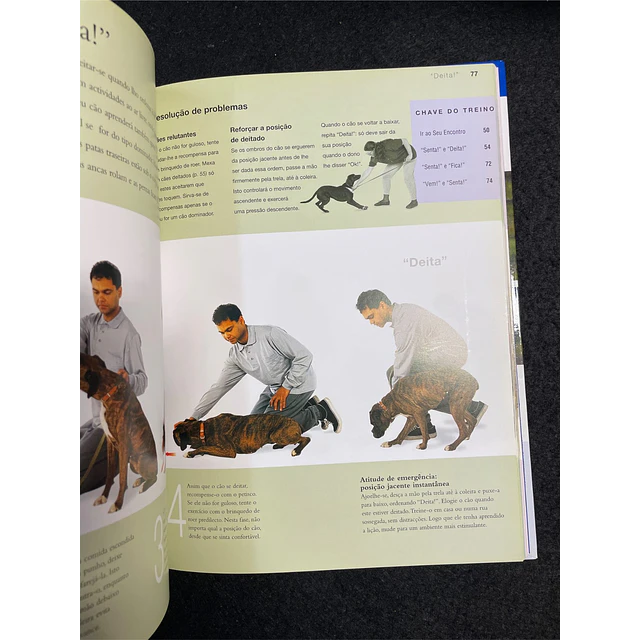 Bruce Fogle - O Seu Cão: Novo Manual de Treino