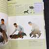 Bruce Fogle - O Seu Cão: Novo Manual de Treino