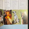 Bruce Fogle - O Seu Cão: Novo Manual de Treino