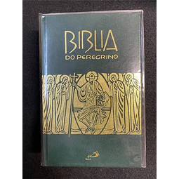 Luís Alonso Schokel - Biblia do Peregrino 