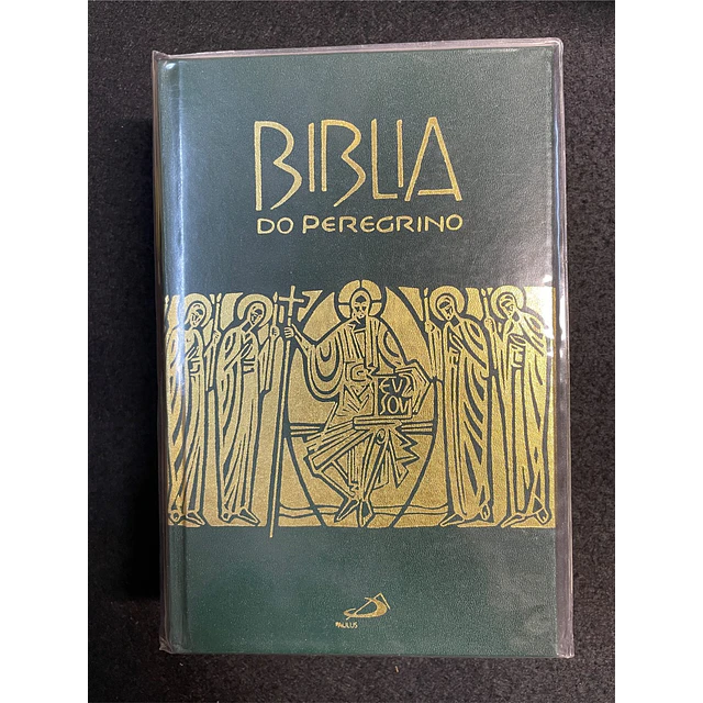 Luís Alonso Schokel - Biblia do Peregrino 