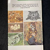 O mundo da natureza: Aves terrestres