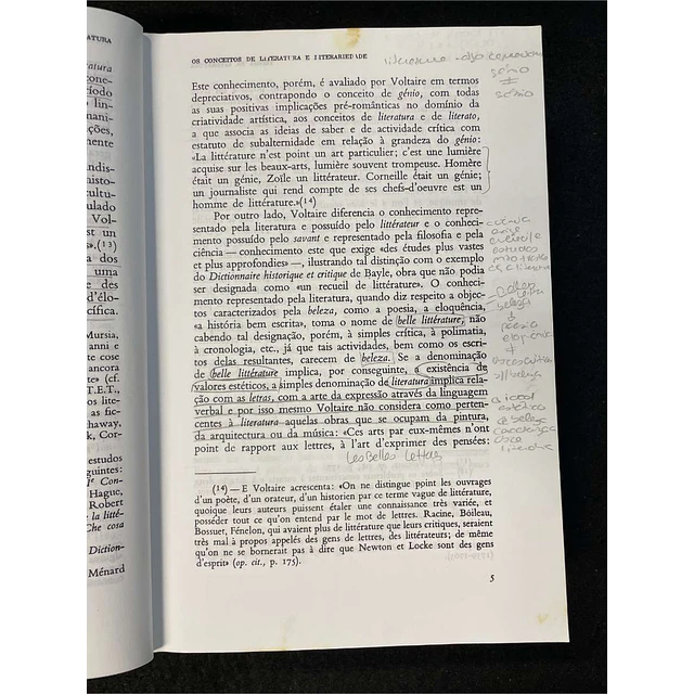 Vitor Manuel de Aguiar e Silva - Teoria da literatura