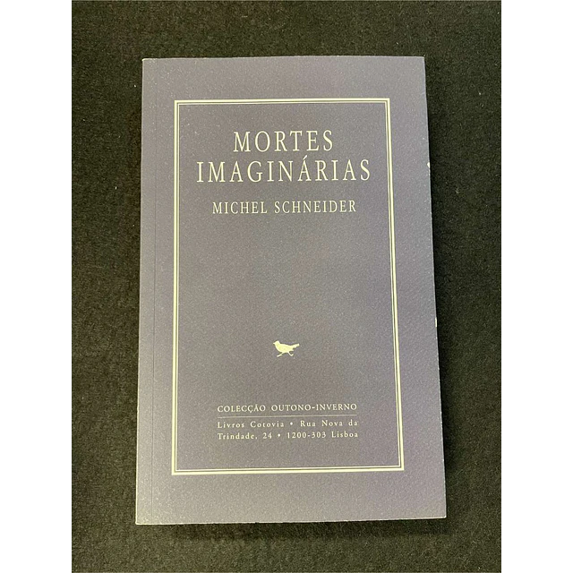 Michel Schneider - Mortes imaginárias