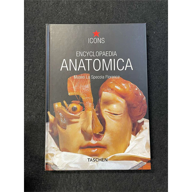 Encyclopaedia anatomica: Museo La Specola Florence 