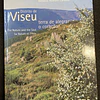 António Homem Cardoso - Distrito de Viseu: Terra de alegrar o coração