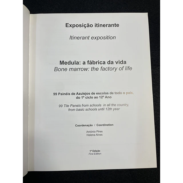 Medula: A fábrica da vida