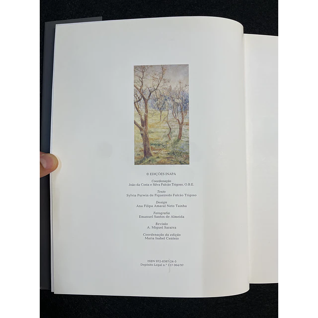 Sylvia Purwin de Figueiredo Falcão Trigoso - Falcão Trigoso: A vida e a obra do pintor