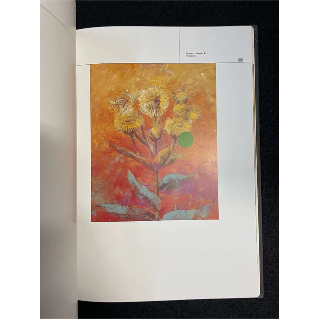 Mário Bismarck - Fazer flores: Pintura-paraíso