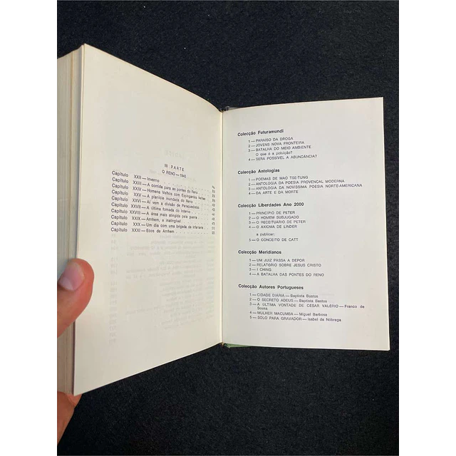 Alexander Mckee - A batalha das pontes do Reno