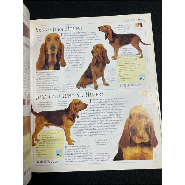 Dr. Bruce Fogle - A enciclopédia do cão