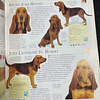Dr. Bruce Fogle - A enciclopédia do cão