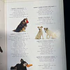 Dr. Bruce Fogle - Manual completo de tratamento de cães